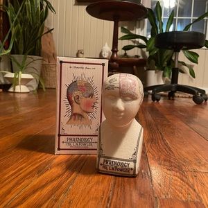 Phrenology head new in box